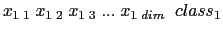 $x_{1\;1}\;x_{1\;2}\;x_{1\;3}\;...\;x_{1\;dim}\;\;class_1$