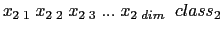 $x_{2\;1}\;x_{2\;2}\;x_{2\;3}\;...\;x_{2\;dim}\;\;class_2$